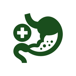 Supports Digestion