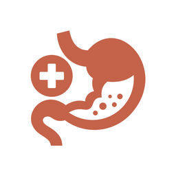 Supports Digestion